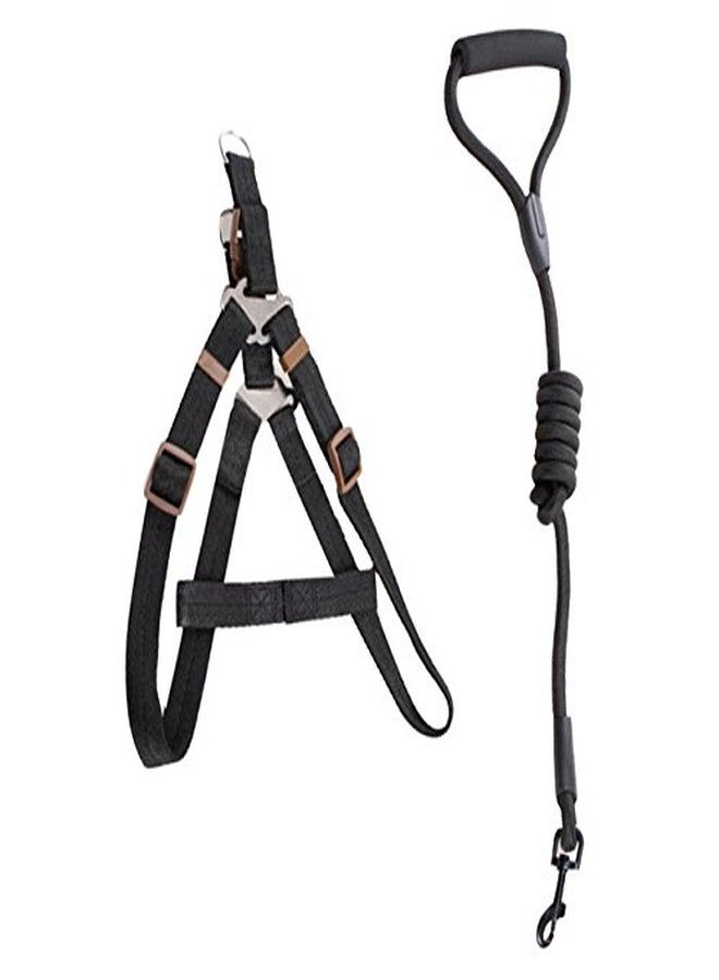 Futaba Pet Harness Collar and Leash Rope Belt Set - Black - Medium - Image 5